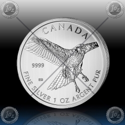 1oz KANADA $5 Birds of Prey "Red-tailed Hawk" 2015 1oz KANADA $5 Birds of Prey "Red-tailed Hawk" 2015
